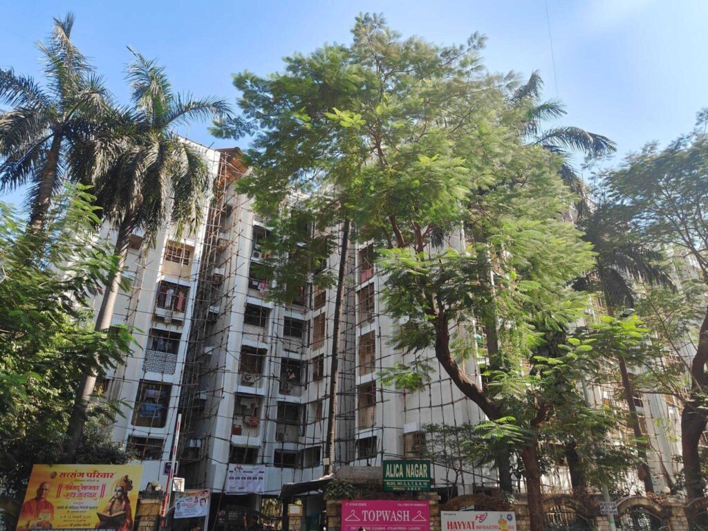 Alica Nagar 2BHK